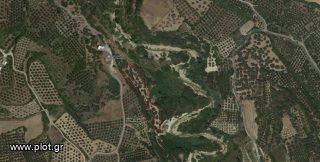 Αγροτεμάχια 6.000 τ.μ. για πώληση