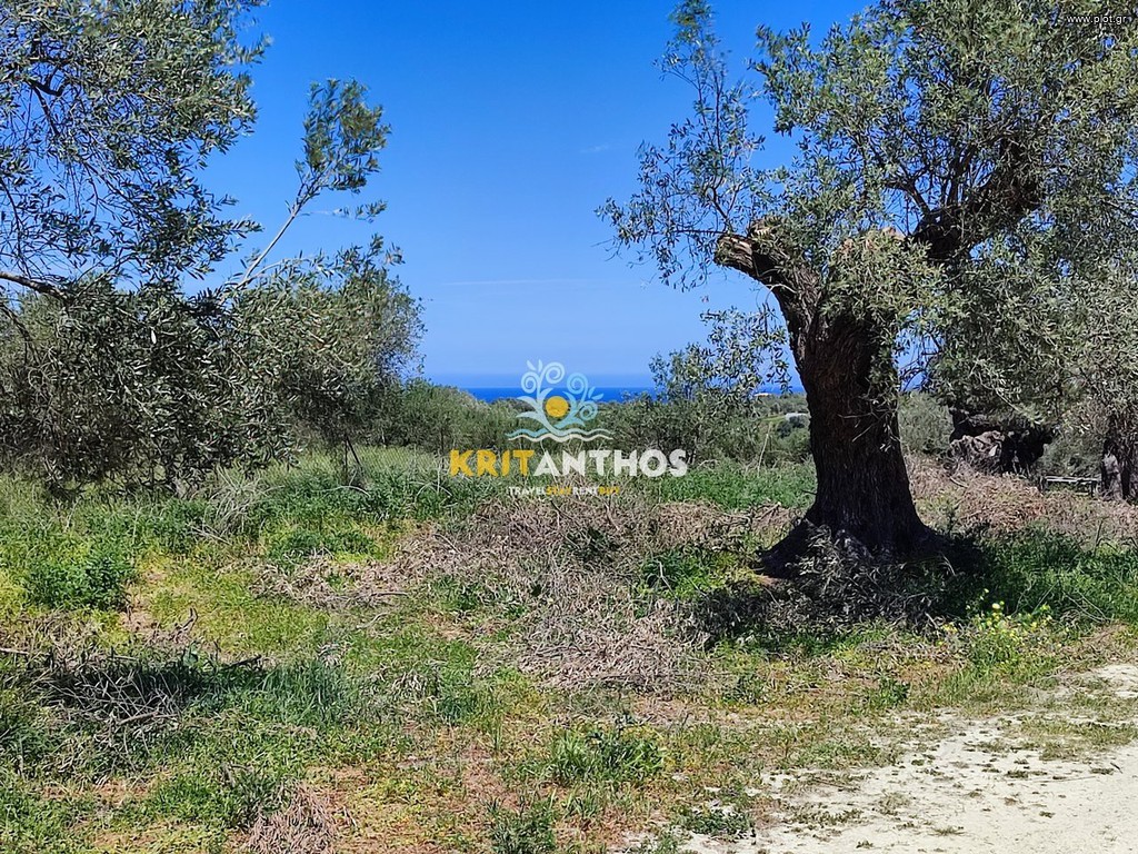 Οικόπεδο 5.000 τ.μ. για πώληση, Ν. Ρεθύμνου, Αρκάδι