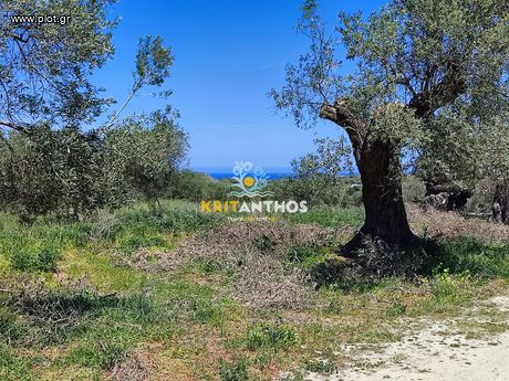 Οικόπεδο 5.000τ.μ. για πώληση-Αρκάδι » Άδελε