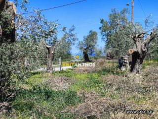 Οικόπεδο 5.000 τ.μ. για πώληση, Ν. Ρεθύμνου, Αρκάδι-thumb-6