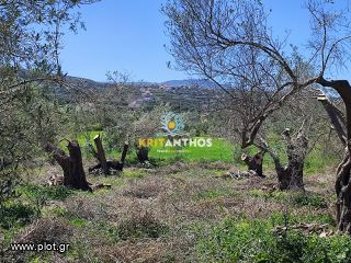 Οικόπεδο 5.000 τ.μ. για πώληση, Ν. Ρεθύμνου, Αρκάδι-thumb-7