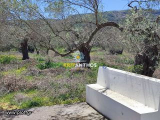 Οικόπεδο 5.000 τ.μ. για πώληση, Ν. Ρεθύμνου, Αρκάδι-thumb-9