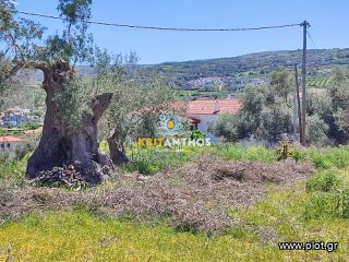 Οικόπεδο 5.000 τ.μ. για πώληση, Ν. Ρεθύμνου, Αρκάδι-thumb-12