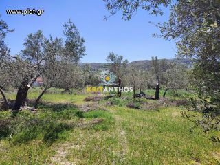 Οικόπεδο 5.000 τ.μ. για πώληση, Ν. Ρεθύμνου, Αρκάδι-thumb-14