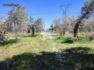 Οικόπεδο 5.000 τ.μ. για πώληση, Ν. Ρεθύμνου, Αρκάδι-thumb-17