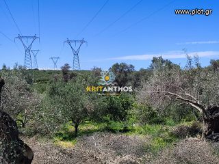 Οικόπεδο 5.000 τ.μ. για πώληση, Ν. Ρεθύμνου, Αρκάδι-thumb-20