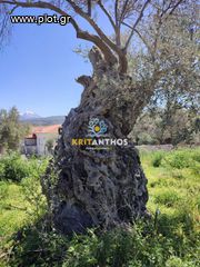 Οικόπεδο 5.000 τ.μ. για πώληση, Ν. Ρεθύμνου, Αρκάδι-thumb-24