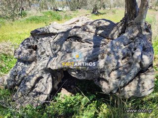 Οικόπεδο 5.000 τ.μ. για πώληση, Ν. Ρεθύμνου, Αρκάδι-thumb-27