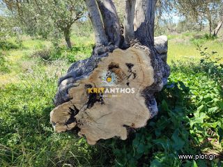 Οικόπεδο 5.000 τ.μ. για πώληση, Ν. Ρεθύμνου, Αρκάδι-thumb-28