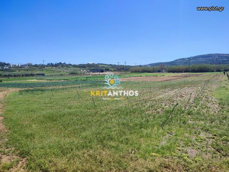 Parcel 5.000sqm for rent-Arkadi » Adelianos Kabos