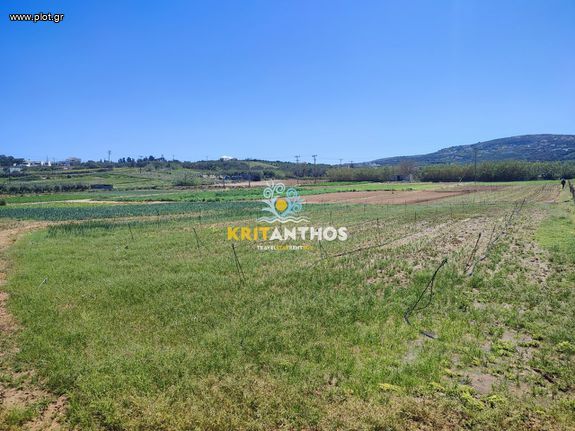 Αγροτεμάχια 5.000 τ.μ. για ενοικίαση, Ν. Ρεθύμνου, Αρκάδι