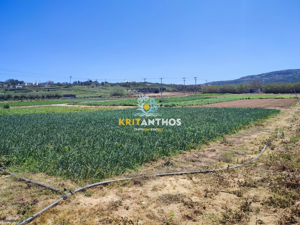 Αγροτεμάχια 5.000 τ.μ. προς ενοικίαση, Αδελιανός Κάμπος
