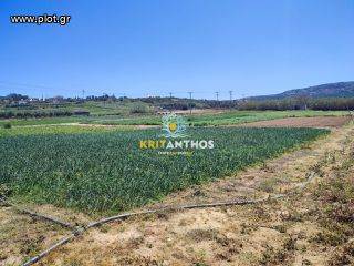 Αγροτεμάχια 5.000 τ.μ. για ενοικίαση, Ν. Ρεθύμνου, Αρκάδι-thumb-2