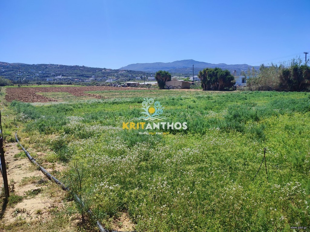 Αγροτεμάχια 5.000 τ.μ. προς ενοικίαση, Αδελιανός Κάμπος