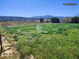 Αγροτεμάχια 5.000 τ.μ. για ενοικίαση, Ν. Ρεθύμνου, Αρκάδι-thumb-3