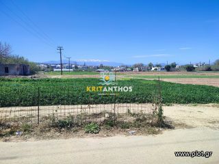 Αγροτεμάχια 5.000 τ.μ. για ενοικίαση, Ν. Ρεθύμνου, Αρκάδι-thumb-4