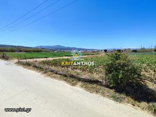 Αγροτεμάχια 5.000 τ.μ. για ενοικίαση, Ν. Ρεθύμνου, Αρκάδι-thumb-5