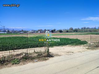 Αγροτεμάχια 5.000 τ.μ. για ενοικίαση, Ν. Ρεθύμνου, Αρκάδι-thumb-7