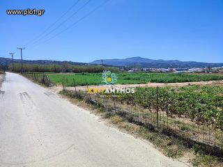 Αγροτεμάχια 5.000 τ.μ. για ενοικίαση, Ν. Ρεθύμνου, Αρκάδι-thumb-9