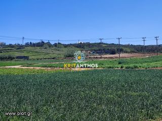 Αγροτεμάχια 5.000 τ.μ. για ενοικίαση, Ν. Ρεθύμνου, Αρκάδι-thumb-12