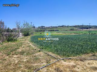 Αγροτεμάχια 5.000 τ.μ. για ενοικίαση, Ν. Ρεθύμνου, Αρκάδι-thumb-14