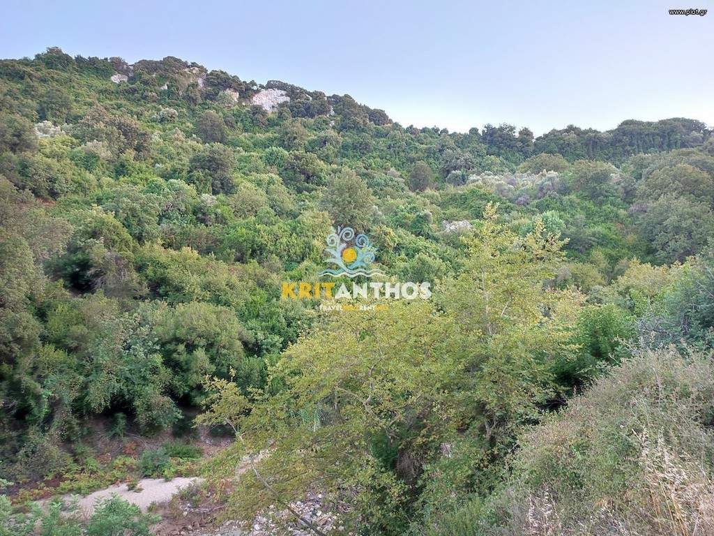 Οικόπεδο 20.000 τ.μ. πρός πώληση, Ν. Ρεθύμνου, Νικηφόρος Φωκάς