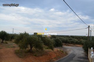 Οικόπεδο 2.000 τ.μ. για πώληση