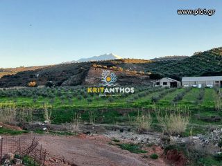 Οικόπεδο 16.979 τ.μ. για πώληση, Ν. Ρεθύμνου, Γεροπόταμος-thumb-16