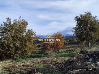 Οικόπεδο 4.975 τ.μ. για πώληση, Ν. Ρεθύμνου, Αρκάδι-thumb-2