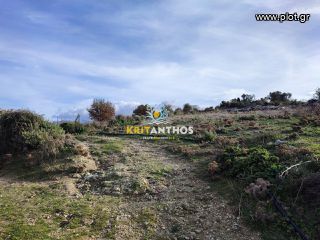 Οικόπεδο 4.975 τ.μ. για πώληση, Ν. Ρεθύμνου, Αρκάδι-thumb-8