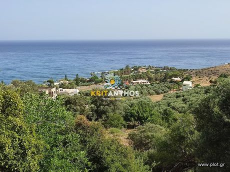Οικόπεδο 10.032,31 τ.μ. για πώληση