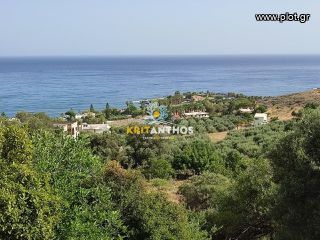 Οικόπεδο 10.032,31 τ.μ. για πώληση