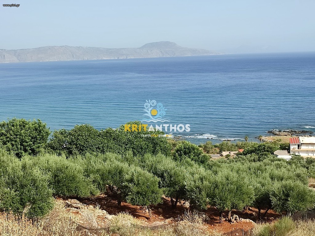 Οικόπεδο 10.032,31 τ.μ. πρός πώληση, Ν. Ρεθύμνου, Νικηφόρος Φωκάς