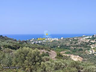 Οικόπεδο 13.500 τ.μ. για πώληση