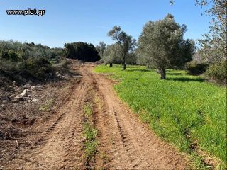 Οικόπεδο 19.112 τ.μ. για πώληση, Ν. Ρεθύμνου, Ρέθυμνο-thumb-2