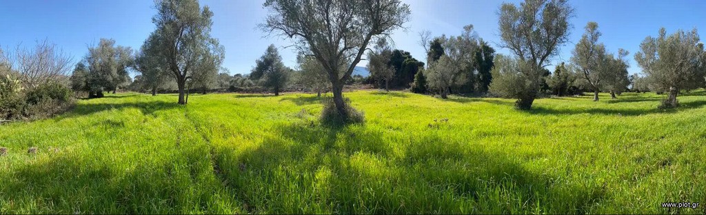 Οικόπεδο 19.112 τ.μ. πρός πώληση, Ν. Ρεθύμνου, Ρέθυμνο