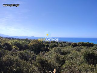 Οικόπεδο 19.112 τ.μ. για πώληση, Ν. Ρεθύμνου, Ρέθυμνο-thumb-5