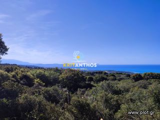 Οικόπεδο 19.112 τ.μ. για πώληση, Ν. Ρεθύμνου, Ρέθυμνο-thumb-7