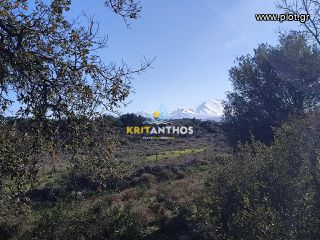 Οικόπεδο 19.112 τ.μ. για πώληση, Ν. Ρεθύμνου, Ρέθυμνο-thumb-8