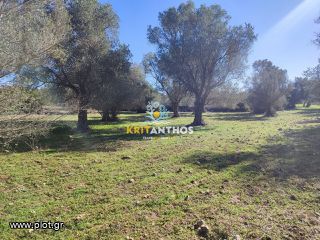 Οικόπεδο 19.112 τ.μ. για πώληση, Ν. Ρεθύμνου, Ρέθυμνο-thumb-9