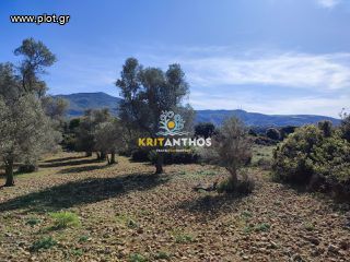 Οικόπεδο 19.112 τ.μ. για πώληση, Ν. Ρεθύμνου, Ρέθυμνο-thumb-39