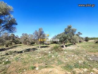 Οικόπεδο 19.112 τ.μ. για πώληση, Ν. Ρεθύμνου, Ρέθυμνο-thumb-40
