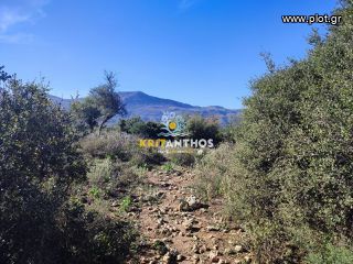 Οικόπεδο 19.112 τ.μ. για πώληση, Ν. Ρεθύμνου, Ρέθυμνο-thumb-11