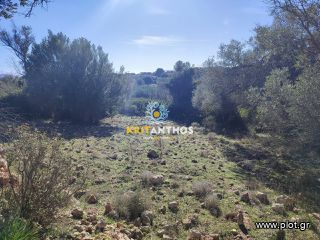Οικόπεδο 19.112 τ.μ. για πώληση, Ν. Ρεθύμνου, Ρέθυμνο-thumb-14