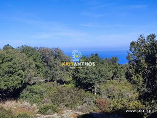 Οικόπεδο 19.112 τ.μ. για πώληση, Ν. Ρεθύμνου, Ρέθυμνο-thumb-15