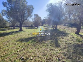 Οικόπεδο 19.112 τ.μ. για πώληση, Ν. Ρεθύμνου, Ρέθυμνο-thumb-16