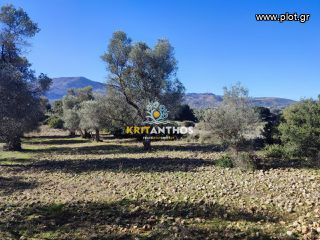 Οικόπεδο 19.112 τ.μ. για πώληση, Ν. Ρεθύμνου, Ρέθυμνο-thumb-17