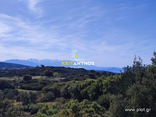 Οικόπεδο 19.112 τ.μ. για πώληση, Ν. Ρεθύμνου, Ρέθυμνο-thumb-34