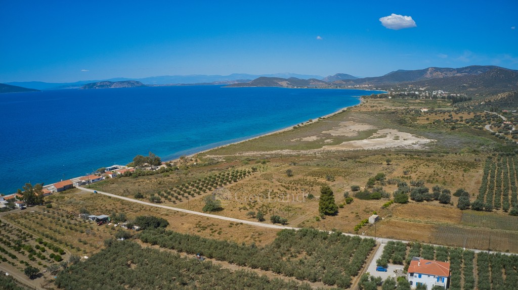 Οικόπεδο 6.778 τ.μ. προς πώληση, Πηγάδια Ερμιόνης