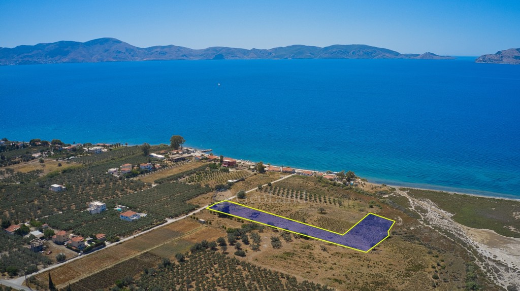 Οικόπεδο 6.778 τ.μ. προς πώληση, Πηγάδια Ερμιόνης